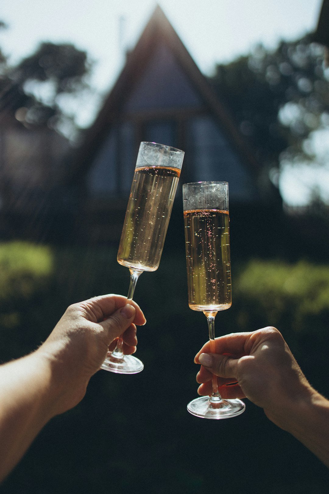 gallery-05 a-couple-of-people-that-are-holding-some-wine-glasses-4kqjfp5izog