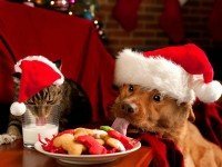 Historical event graphic: Jonathan Griffiths Law Offices Christmas Luncheon
